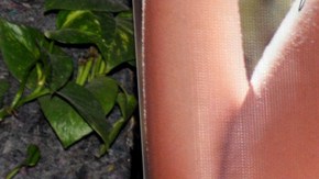 Frida comparte sus rutinas de ejercicio con sus seguidores.