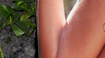 Frida comparte sus rutinas de ejercicio con sus seguidores.