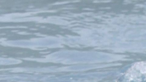 La decisión de una ONG francesa de dedicar durante un día el uso de "burkinis" provocó gran polémica.