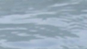 La decisión de una ONG francesa de dedicar durante un día el uso de "burkinis" provocó gran polémica.