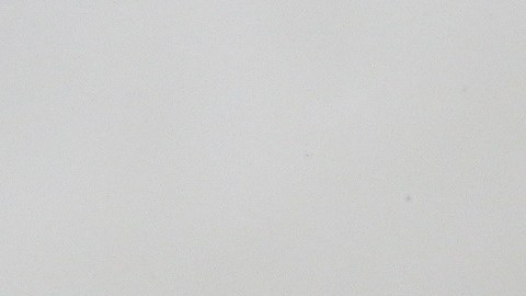 El pequeño falleció poco después de nacer, debido a una microcefalia asociada con el virus del zika.