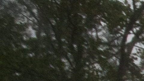 Louisiana y Mississippi sufren torrenciales lluvias.