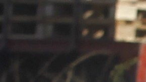 Forenses investigan el hallazgo de seis cuerpos en Jalisco.