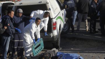 Forenses investigan el hallazgo de seis cuerpos en Jalisco.