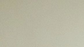 FLORIDA CONFIRMA 5 PRIMEROS CASOS DE ZIKA PROBABLEMENTE AUTÓCTONO EN MIAMI BEACH