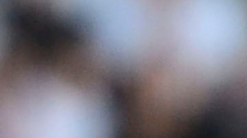 Oribe Peralta festeja un gol ante Nueva Zelanda.