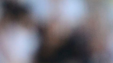 Oribe Peralta festeja un gol ante Nueva Zelanda.