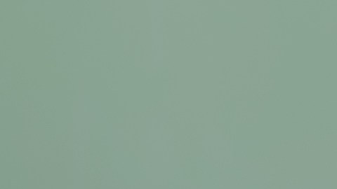 Las cuentas 529 están especialmente diseñadas para ahorrar con el objetivo de cubrir gastos de educación superior./Shutterstock