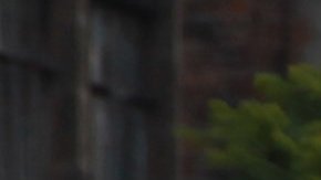 Integrantes de la CNTE en paro desde hace casi tres meses.