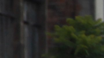 Integrantes de la CNTE en paro desde hace casi tres meses.