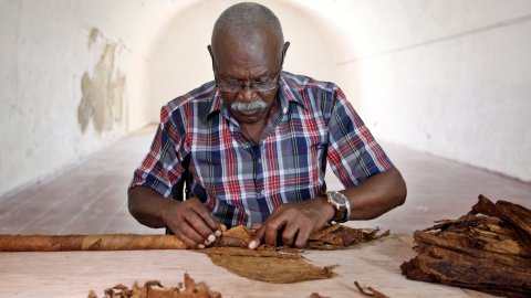 "Cueto", confecciona un nuevo habano gigante para romper su propio récord Guinnes.