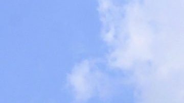 Lo servicios aéreos fueron cancelados horas antes de la llegada del huracán.