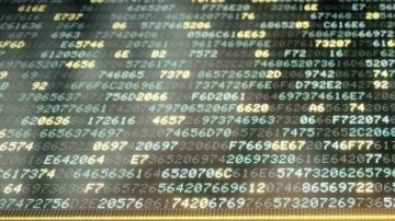 Los programas informáticos pueden representarse con un número.