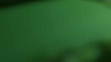 Las plantas ayudan a eliminar elementos contaminantes del aire