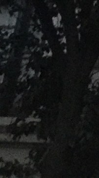 El Bronx es el condado que menos propietarios tiene, seguido de Manhattan y Brooklyn, en la foto./A. B. N.