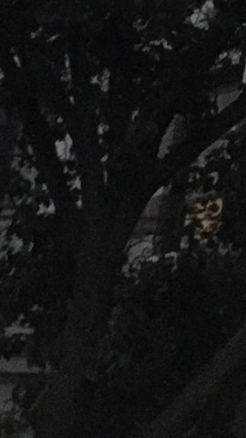 El Bronx es el condado que menos propietarios tiene, seguido de Manhattan y Brooklyn, en la foto./A. B. N.