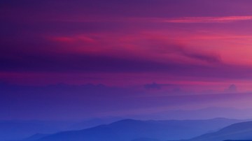 7 de estos, todas las semanas.