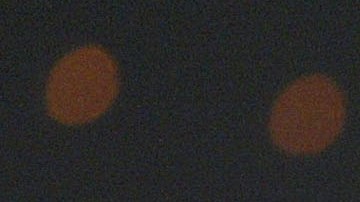 Jerónimo asegura que Pilar está algo afectada por la enfermedad.