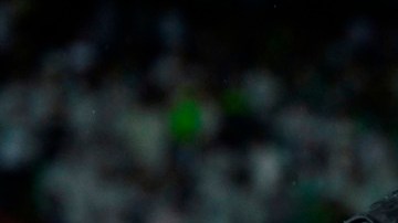 Edgardo Bauza ya se habría desligado del Sao Paulo para dirigir a la Albiceleste.