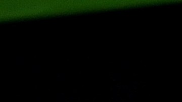 El equipo japonés de gimnasia artística.