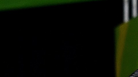 El equipo japonés de gimnasia artística.