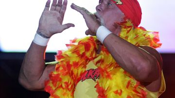 Hogan durante el Hulkamania Tour en 2009.