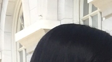 La Defensora del Pueblo, Letitia James, emitió un reporte con medidas urgentes para proteger a los habitantes de la Gran Manzana contra el Zika