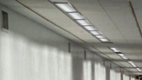 Gran parte del aeropuerto JFK tuvo que ser desalojado después de los avisos de disparos.