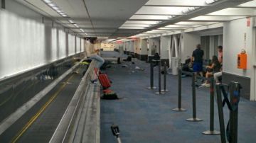 Gran parte del aeropuerto JFK tuvo que ser desalojado después de los avisos de disparos.