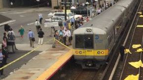 Varias líneas del LIRR fueron suspendidas esta mañana por un atropello.