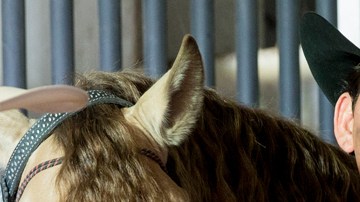 José Manuel Figueroa dio vida a su padre Joan Sebastian en serie de televisión