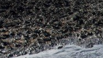 Imágenes del líquido viscoso aparecen en redes sociales.