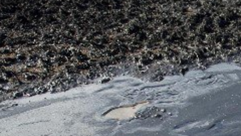 Imágenes del líquido viscoso aparecen en redes sociales.