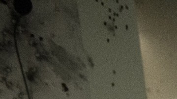 Una escena de Suicide Squad.