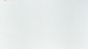 Hace apenas unos meses que Efron puso fin a su relación de dos años con Sam Miró.