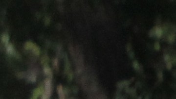 El incremento en casos de gonorrea y clamidia entre estudiantes de NYC preocupa a los padres.