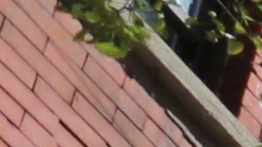 Nuestros Barrios - Little Italy - St Gennaro's Festival Foto Credito: Mariela Lombard / El Diario NY