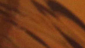 Parece que Thalía está dispuesta a tener contacto con sus admiradores.