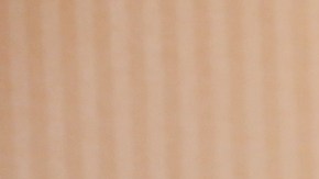 Lila calificó de fascista y misógino a Donald Trump.