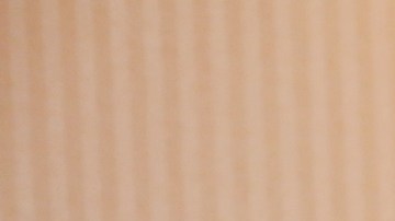 Lila calificó de fascista y misógino a Donald Trump.