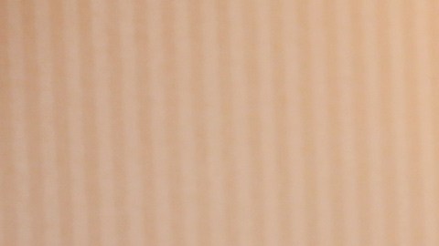 Lila calificó de fascista y misógino a Donald Trump.