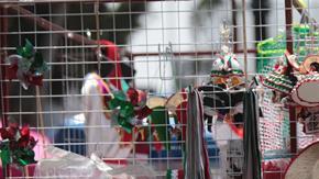 La gente sale a las calles a comprar adornos patrióticos.