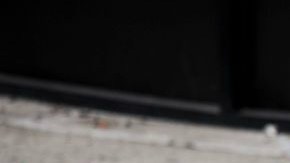 El principal sospechoso de las explosiones en NY y NJ, Ahmad Khan Rahami, tendría dos hijas.