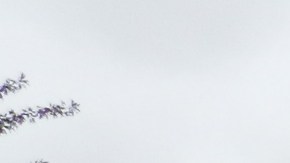 Nuestros Barrios: Cultura colombiana en Sunnyside, Queens.