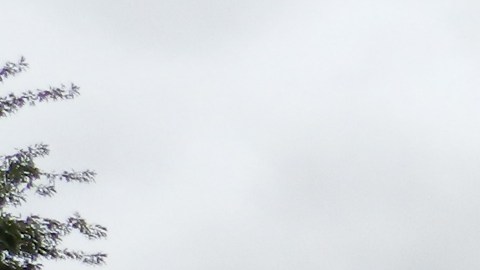 Nuestros Barrios: Cultura colombiana en Sunnyside, Queens.