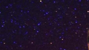 El museo confirmó el dato a través de su cuenta de Twitter.