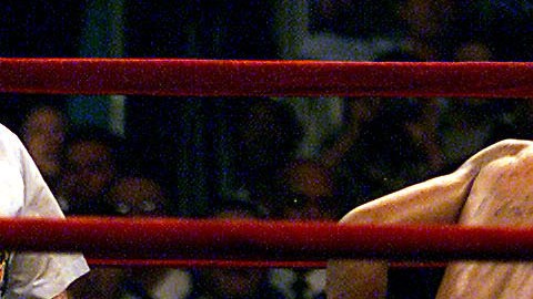 29 Sept. 2001:  Bernard Hopkins noquea a Felix Trinidad