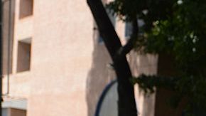 Miles de venezolanos solicitan un referendo revocatorio contra Maduro.