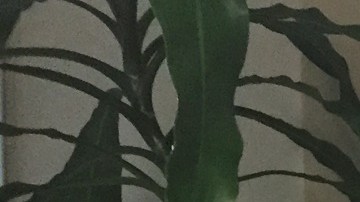 Dani Dayan, el cónsul de Israel en Nueva York, vivió en Argentina hasta que era adolescente y afirma que entiende de primera mano la vida de los inmigrantes