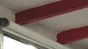 El colombiano John Cardona se declara simpatizante del “no” a los acuerdos entre las FARC y el gobierno, pues teme que haya una agenda oculta por parte de la guerrilla.